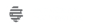 Moonbeam Foundation Footer